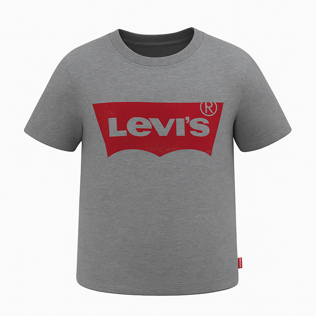 T-shirt Levis Gris - Unisexe